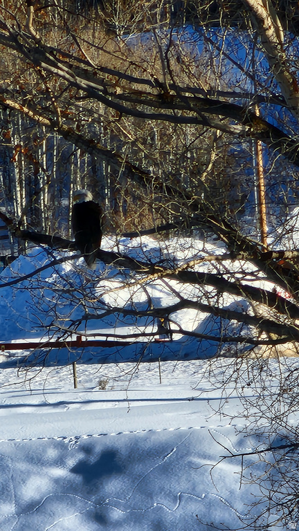 156  MOUNTAIN VW Oakley, UT 84055