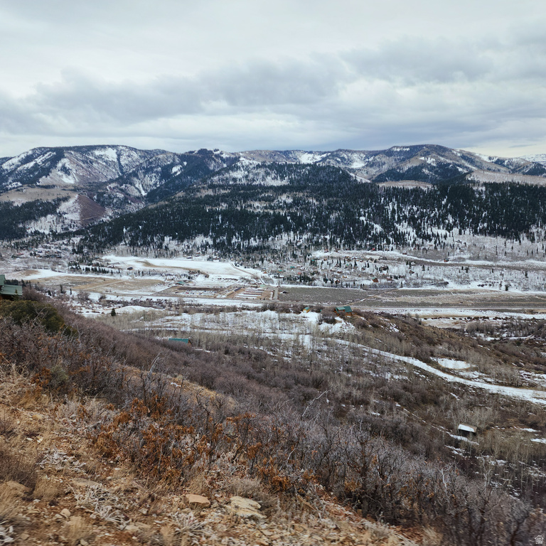 156  MOUNTAIN VW Oakley, UT 84055