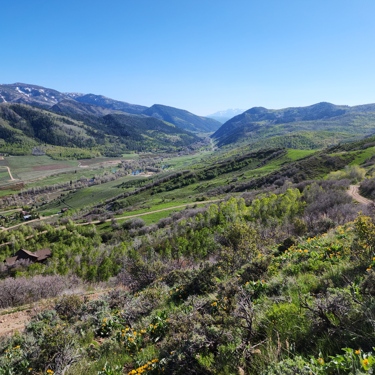 156  MOUNTAIN VW Oakley, UT 84055