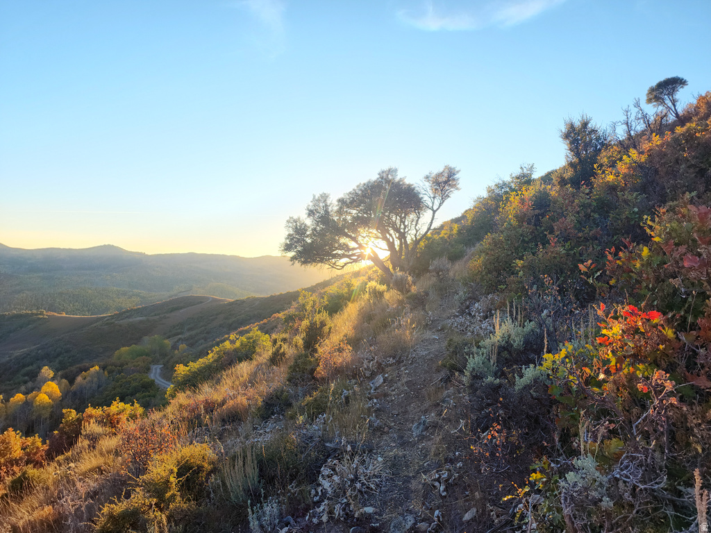 156  MOUNTAIN VW Oakley, UT 84055