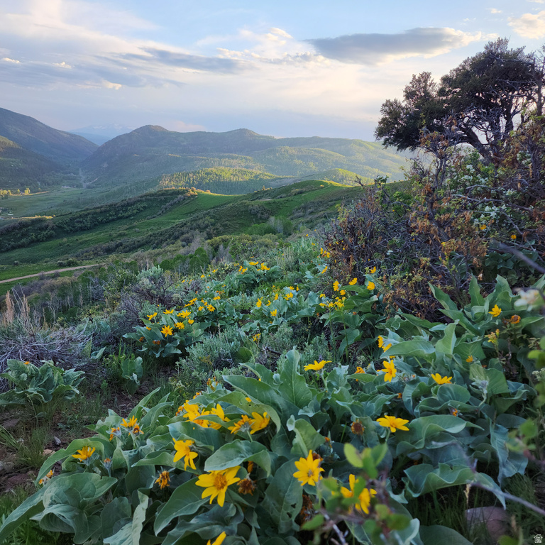 156  MOUNTAIN VW Oakley, UT 84055