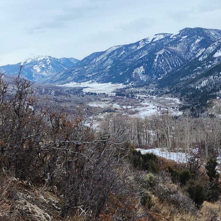 156  MOUNTAIN VW Oakley, UT 84055