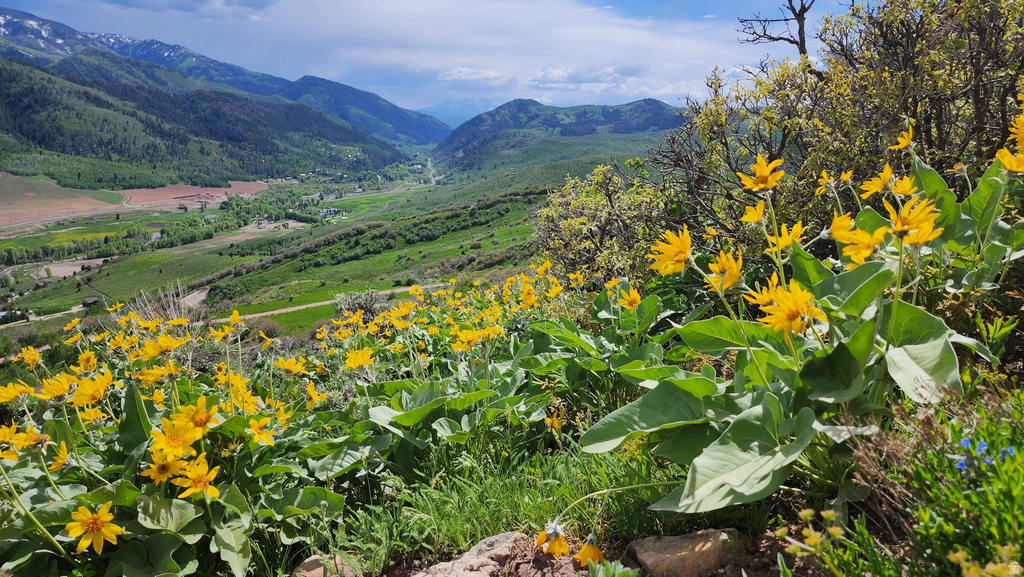 156  MOUNTAIN VW Oakley, UT 84055