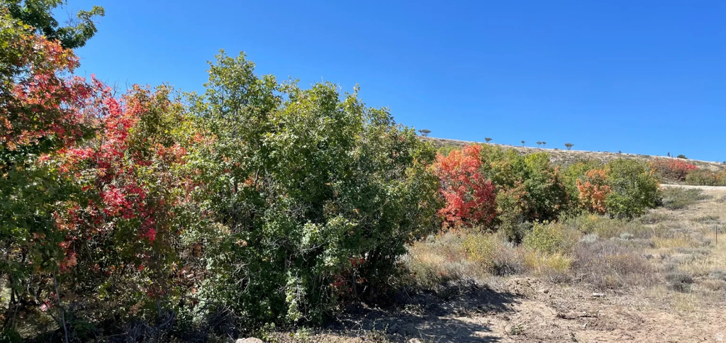 732 W RASPBERRY PATCH RD Garden City, UT 84028