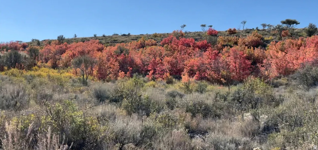 466 N ELK RIDGE RD Garden City, UT 84028