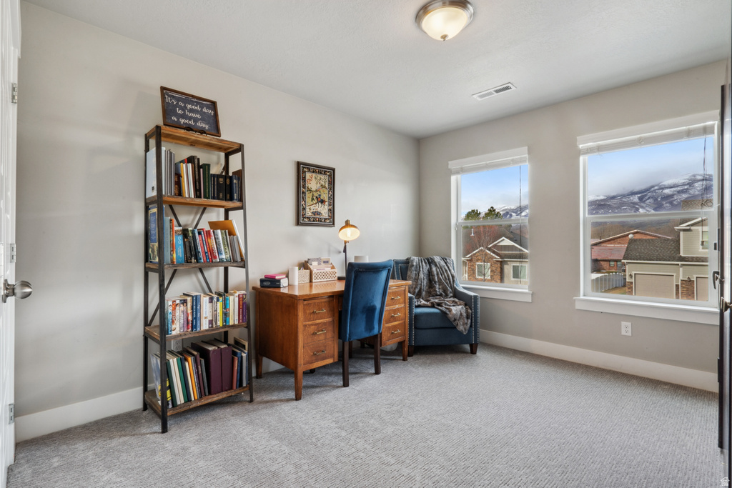 215 S 300 E Midway, UT 84049