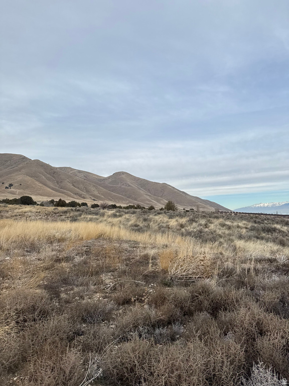 6300 W 10000 Payson, UT 84651