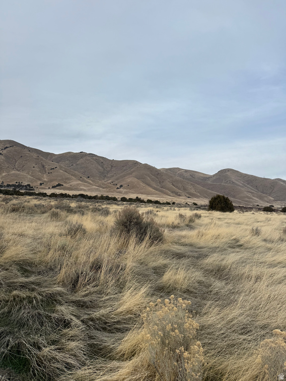 6300 W 10000 Payson, UT 84651