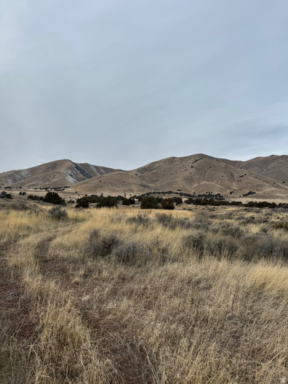 6300 W 10000 Payson, UT 84651