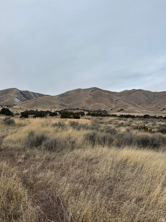 6300 W 10000 Payson, UT 84651