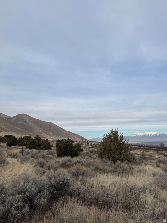 6300 W 10000 Payson, UT 84651