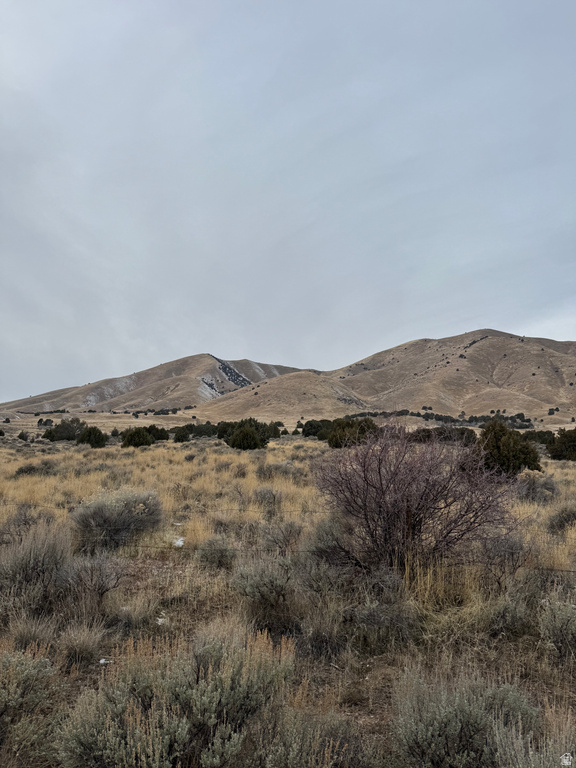 6300 W 10000 Payson, UT 84651