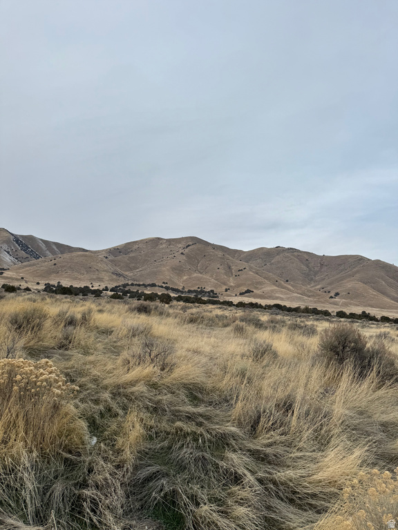 6300 W 10000 Payson, UT 84651