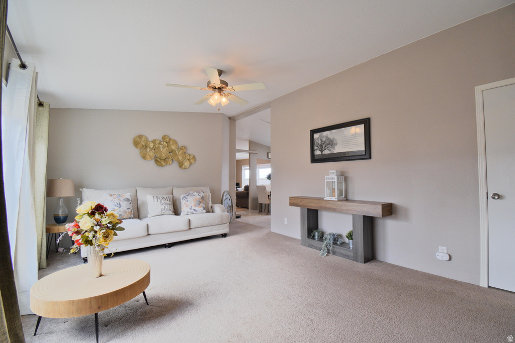 12100 E 22270 N #A60 Fairview, UT 84629