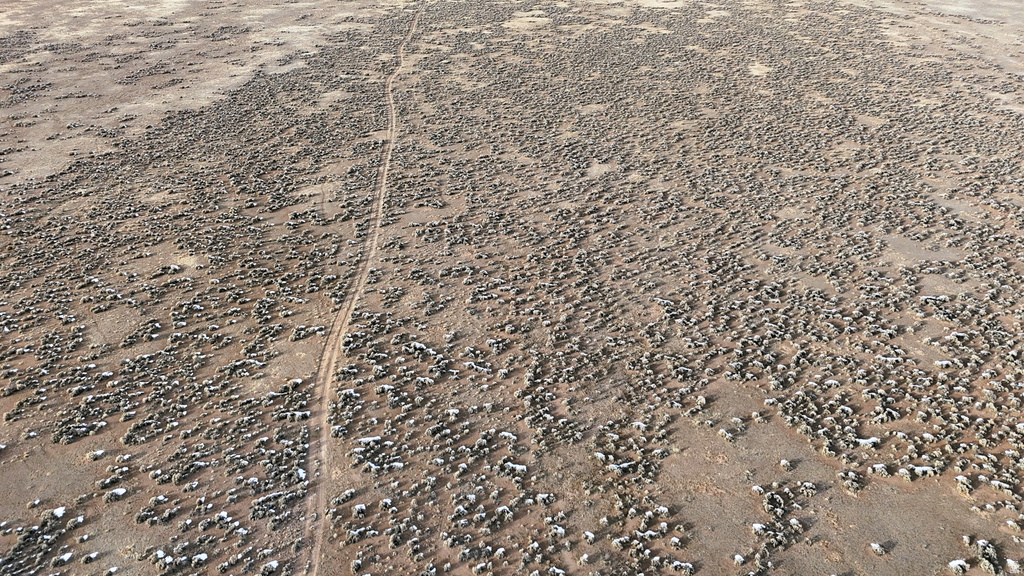 123  TBD WEST CUONTY RD 1875 Monroe, UT 84754