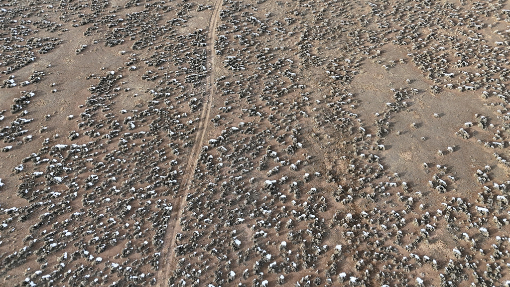 123  TBD WEST CUONTY RD 1875 Monroe, UT 84754