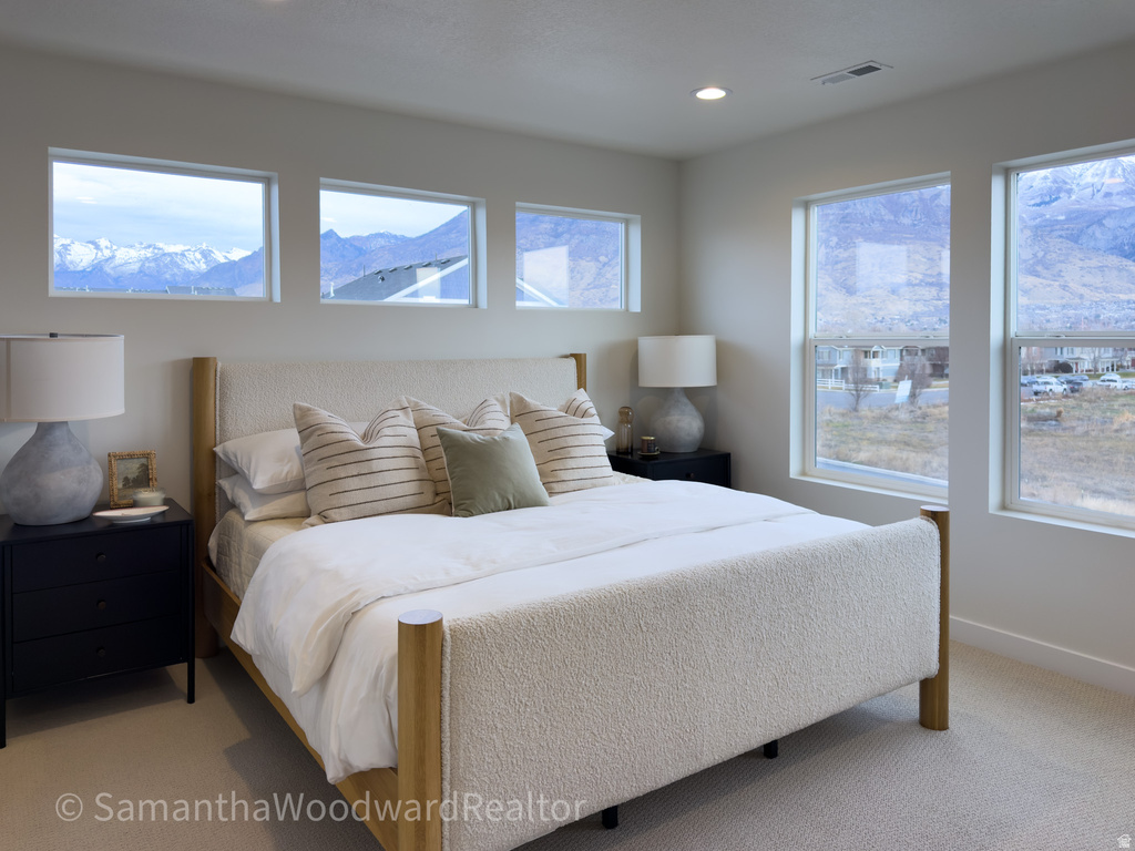 118 S 1700 W #11 Pleasant Grove, UT 84062