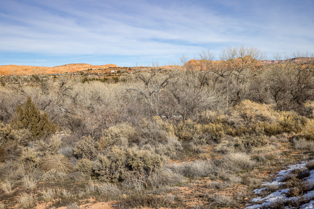 2739 NUEVO CT #2 Moab, UT 84532