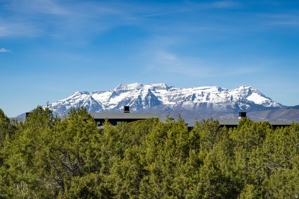 2418 E RED KNOB WAY #JH-20 Heber City, UT 84032