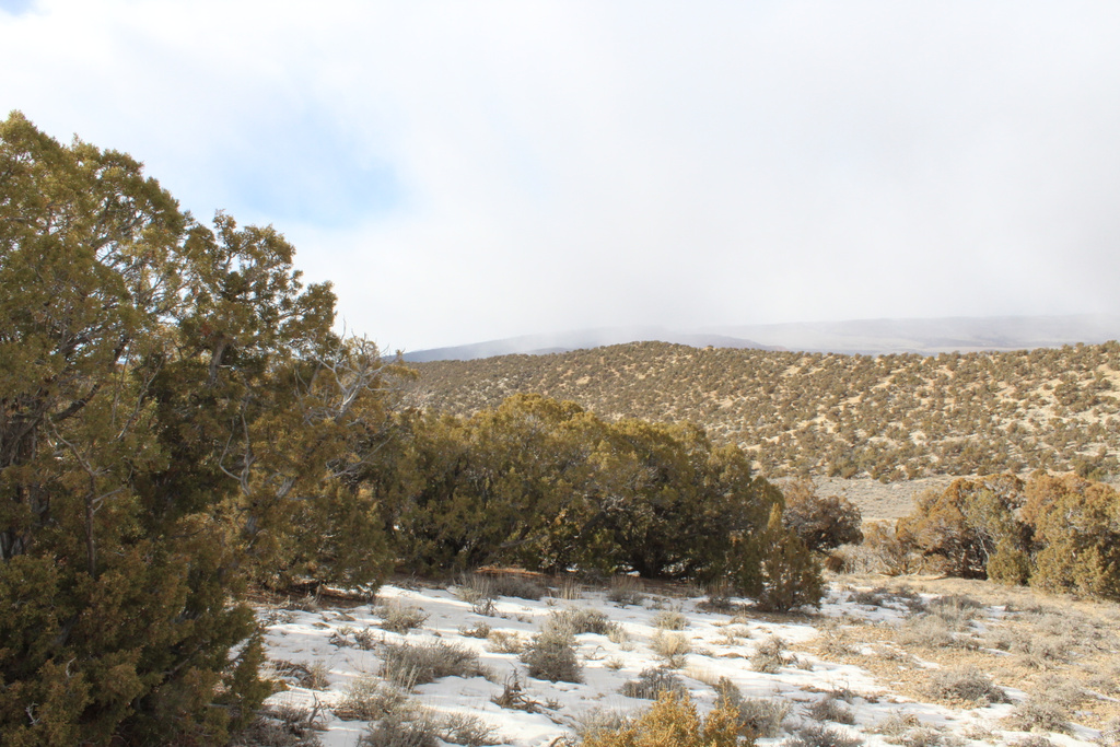 3215 E LITTLE VALLEY RD Vernal, UT 84078