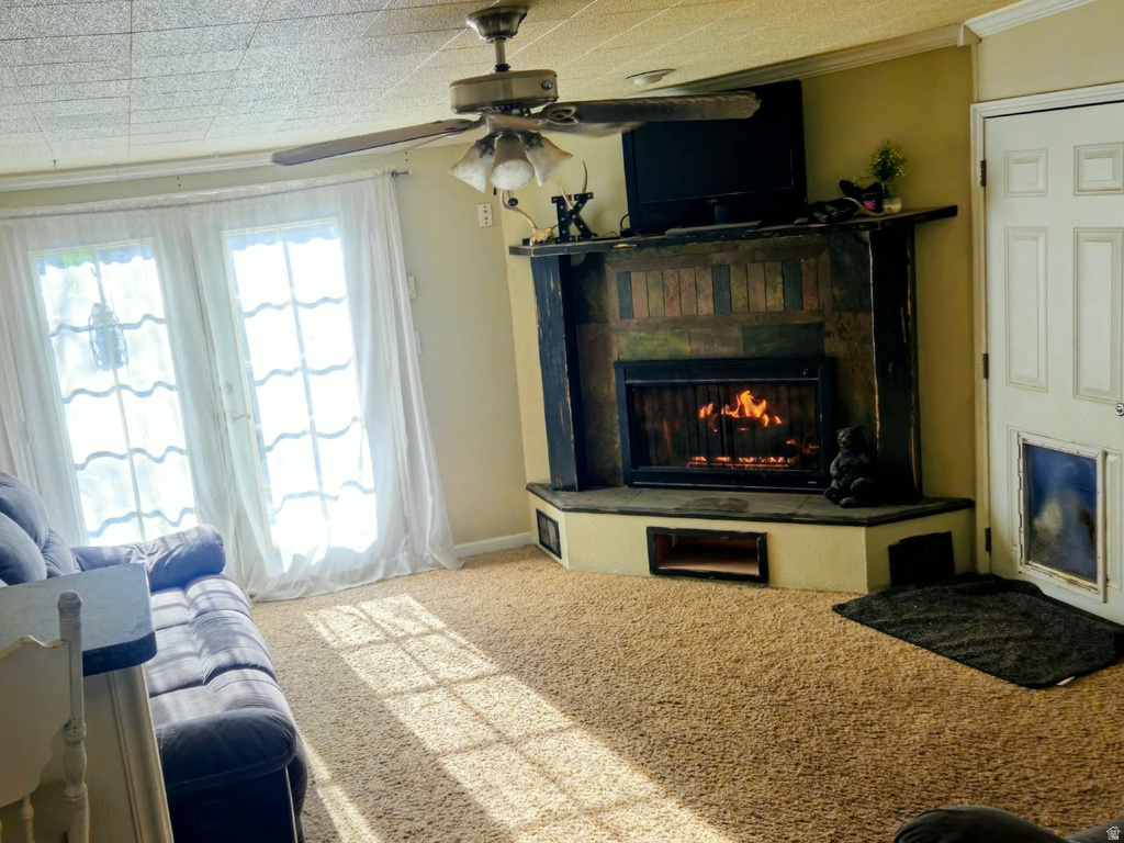 314 CIRCLE DR Montpelier, ID 83254