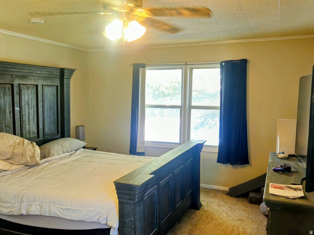 314 CIRCLE DR Montpelier, ID 83254