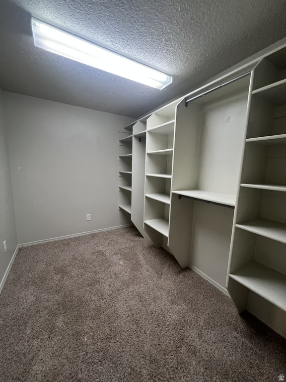 599 E 285 N Mt Pleasant, UT 84647