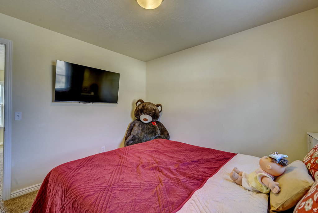 1119 S 970 W Tooele, UT 84074