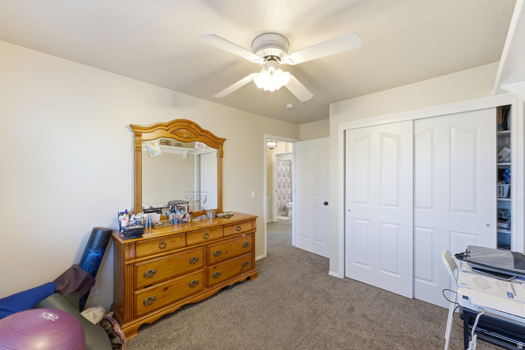 1016 N 250 W American Fork, UT 84003