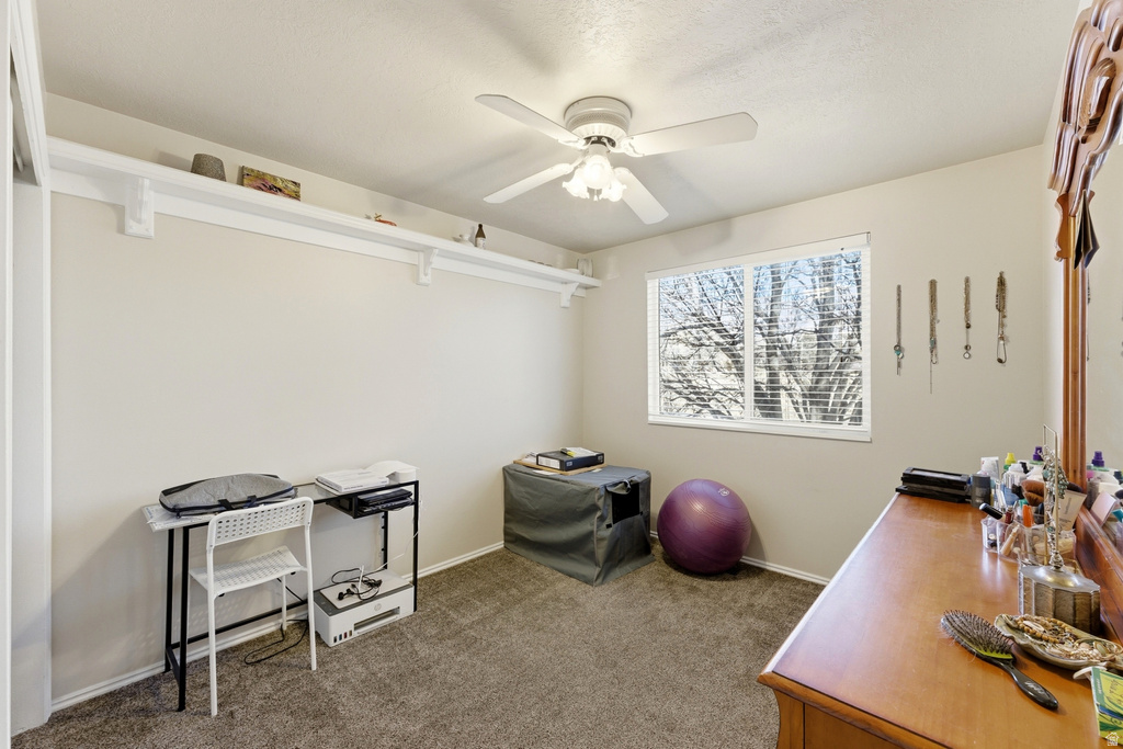 1016 N 250 W American Fork, UT 84003