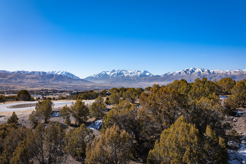 2898 E LA SAL PEAK DR Heber City, UT 84032