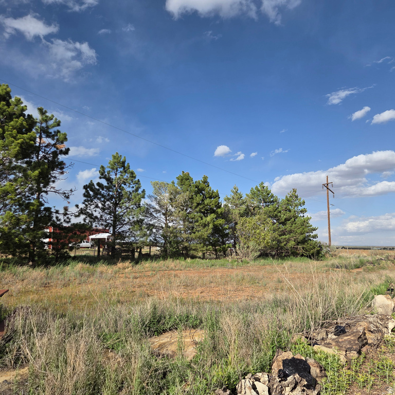1025 S 200 E Blanding, UT 84511