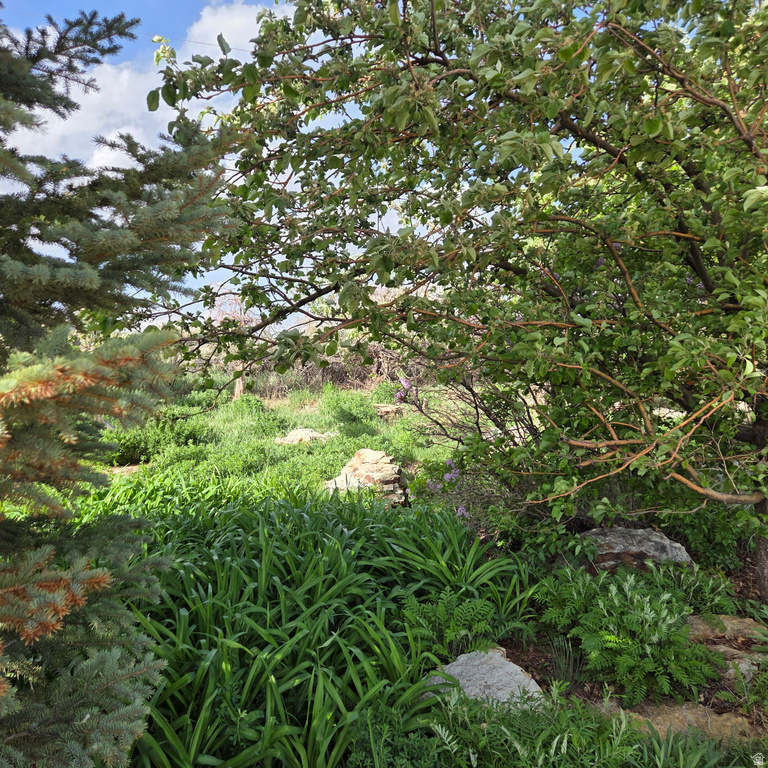 1025 S 200 E Blanding, UT 84511