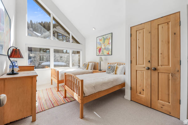 9927 E POWDER RUN RD #10B Alta, UT 84092