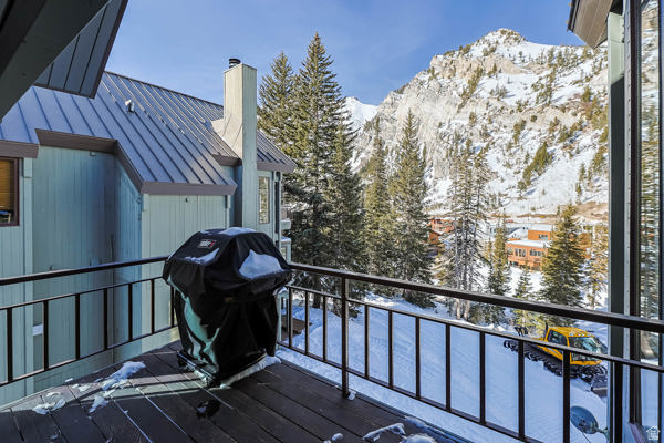 9927 E POWDER RUN RD #10B Alta, UT 84092