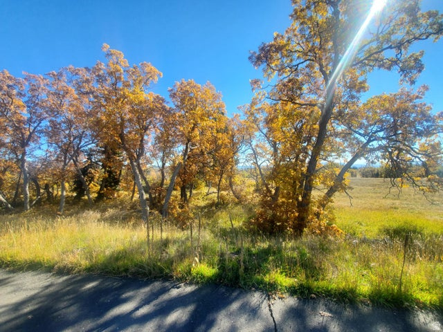 248 N SPRING DR Springdale, UT 84767