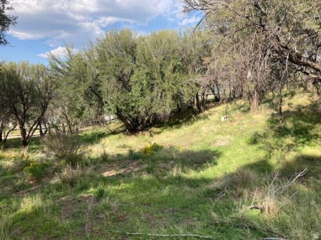 200 W 325 S Pine Valley, UT 84781