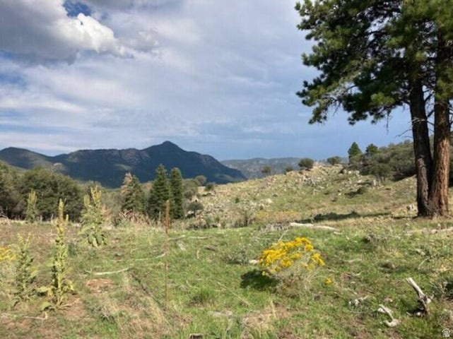 200 W 325 S Pine Valley, UT 84781