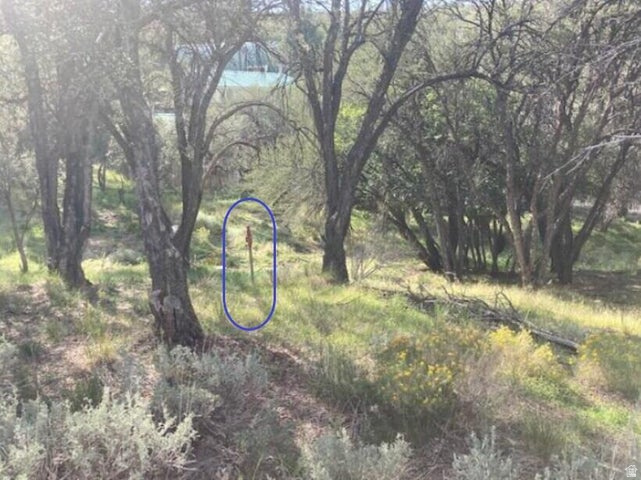 200 W 325 S Pine Valley, UT 84781