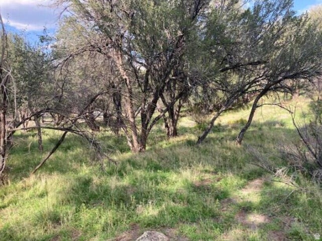 200 W 325 S Pine Valley, UT 84781