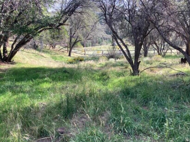 200 W 325 S Pine Valley, UT 84781