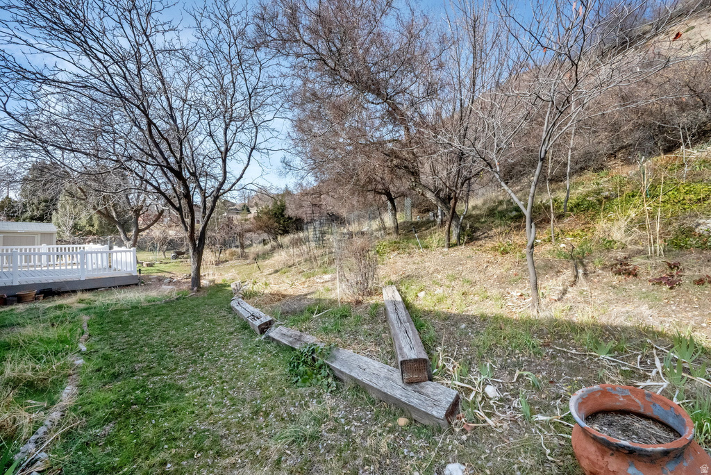 1111 E 300 N Springville, UT 84663