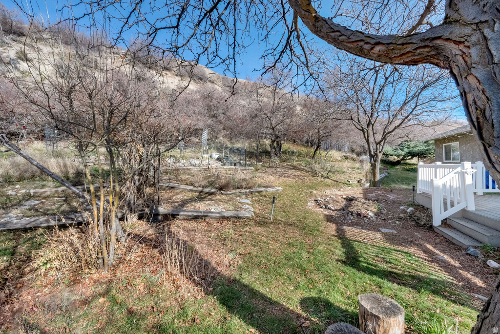 1111 E 300 N Springville, UT 84663
