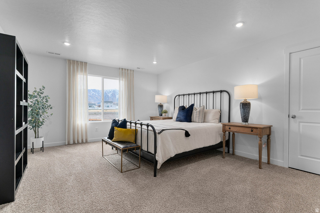 1743 N PATCHWORK AVE #1265 Tooele, UT 84074