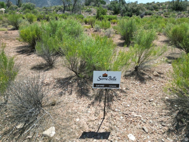 43  SIERRA BELLA Virgin, UT 84779