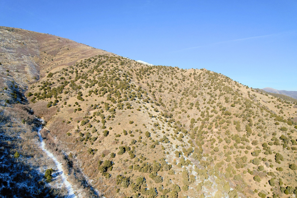  Cedar Fort, UT 84013