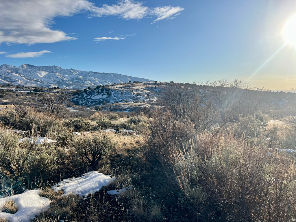 150 N 2000 E Fillmore, UT 84631