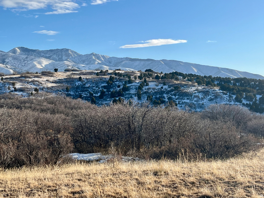 150 N 2000 E Fillmore, UT 84631