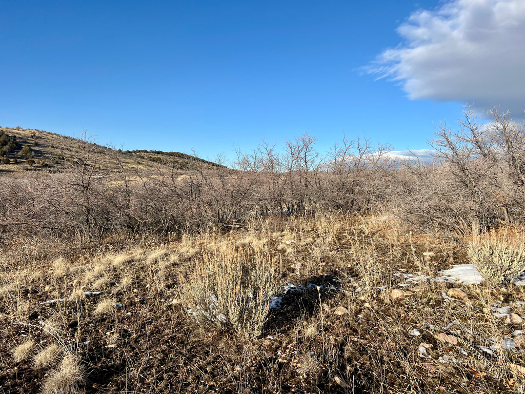 150 N 2000 E Fillmore, UT 84631