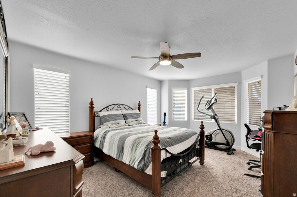 895 N PETRO DR Tooele, UT 84074